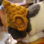 Winter Cosplay Buddha Pet Dog Hat Ginger Ear Protective - Image 3